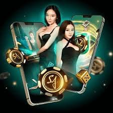 dgb333